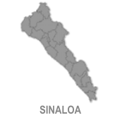  Ir  a  ...